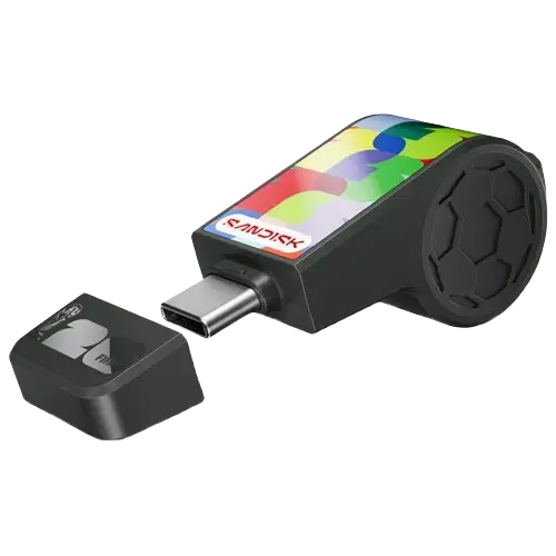 SanDisk Flash Drive (128GB)